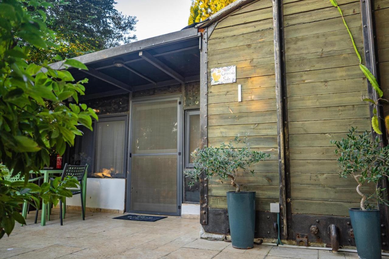 Lisa'S Farm Place Rishon Leziyyon Ngoại thất bức ảnh