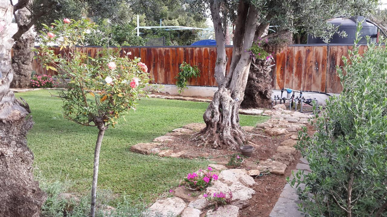Lisa'S Farm Place Rishon Leziyyon Ngoại thất bức ảnh