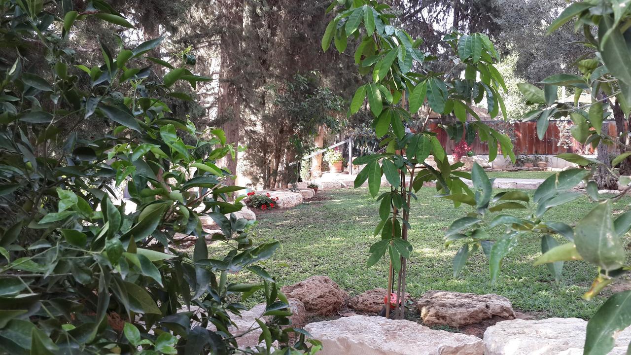 Lisa'S Farm Place Rishon Leziyyon Ngoại thất bức ảnh